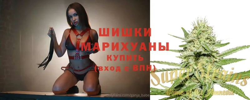 Конопля Bruce Banner  Малая Вишера 